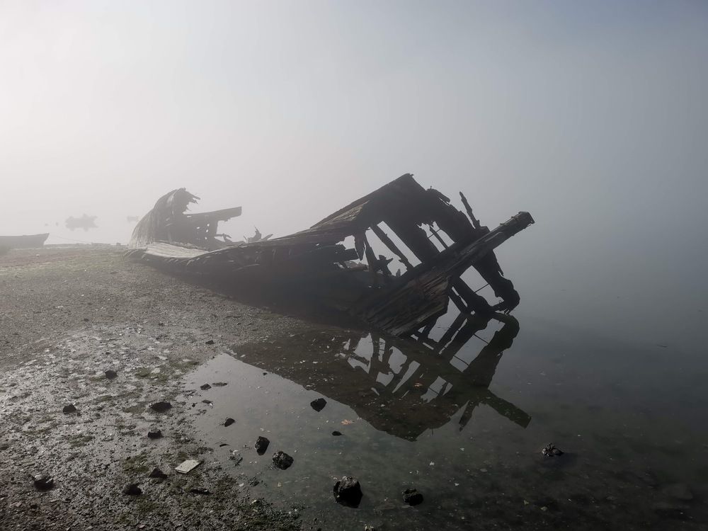 Фотография автора José Travassos