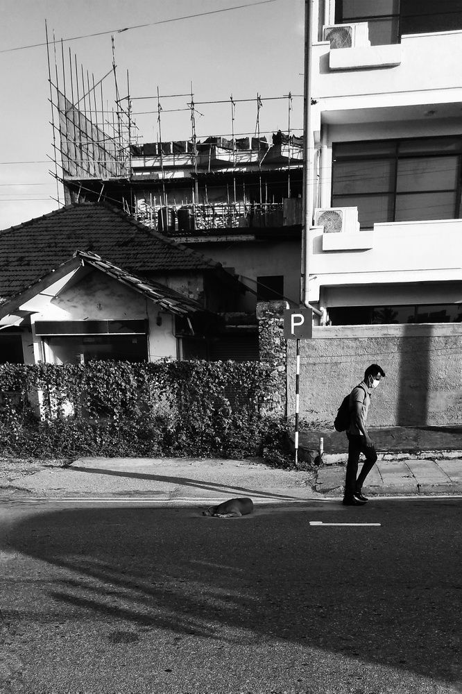 Photograph by Chamara Sulakkhana Polwatta Siriyalage