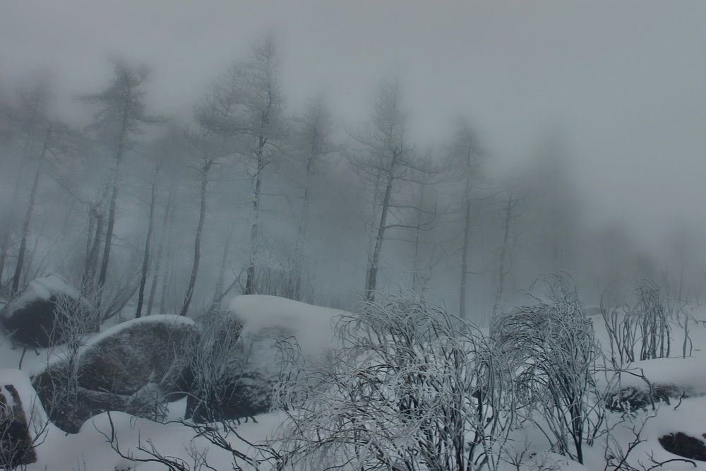 Photograph by Francisco Ferreira