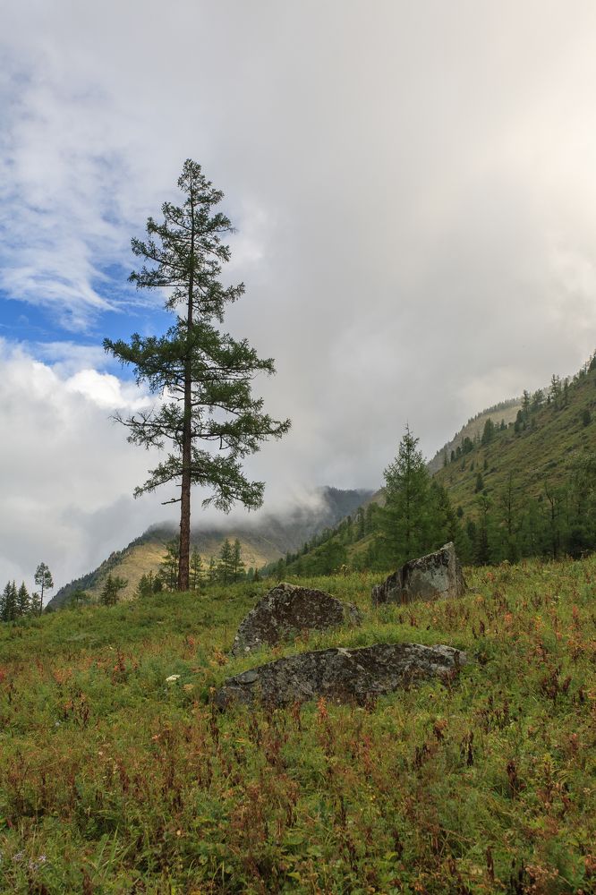 Photograph by Влидимир