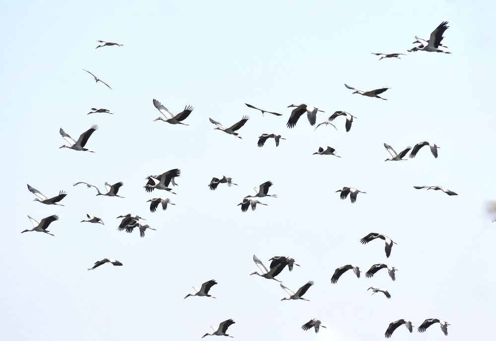 Photograph by Masum Mr