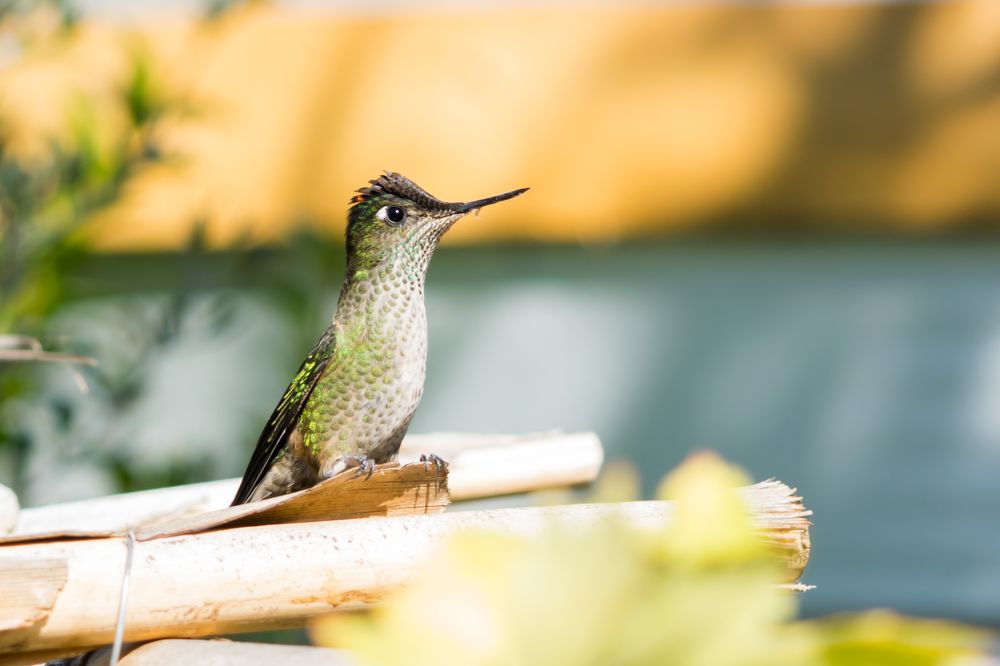 Photograph by octavio martinez