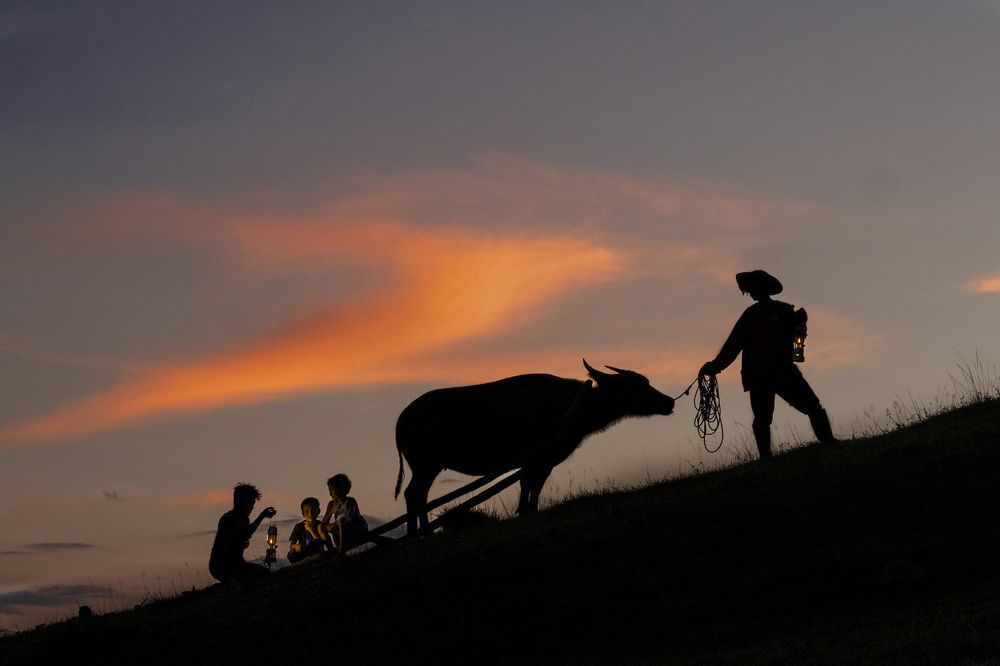 Photograph by Ariel Salupan