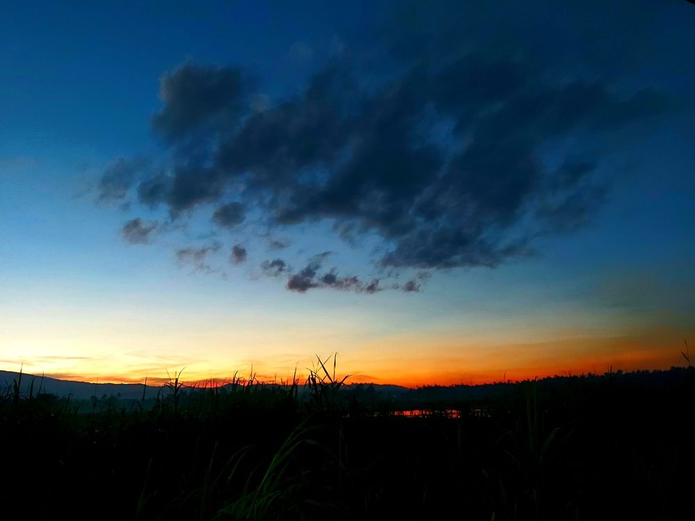 Photo #5816753