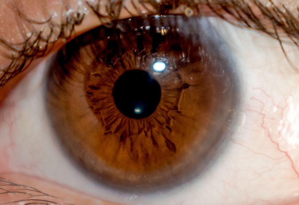 Photograph by octavio martinez