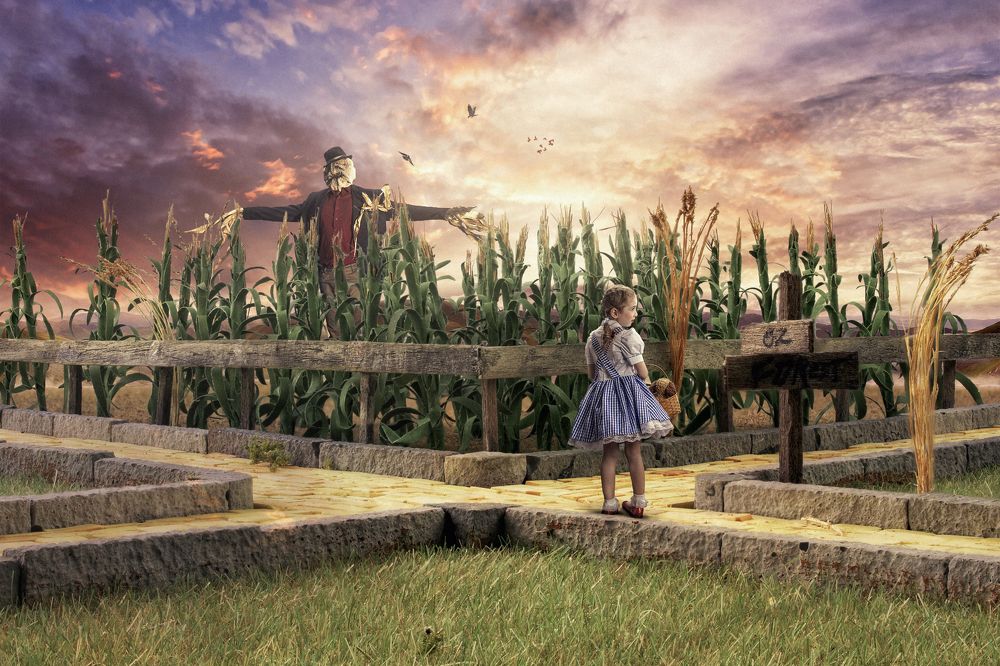 Photograph by Nicholas Busch