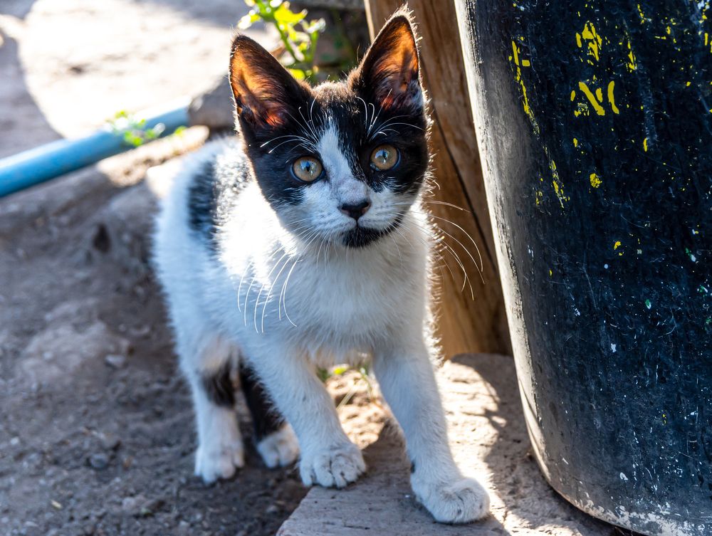 Photograph by octavio martinez