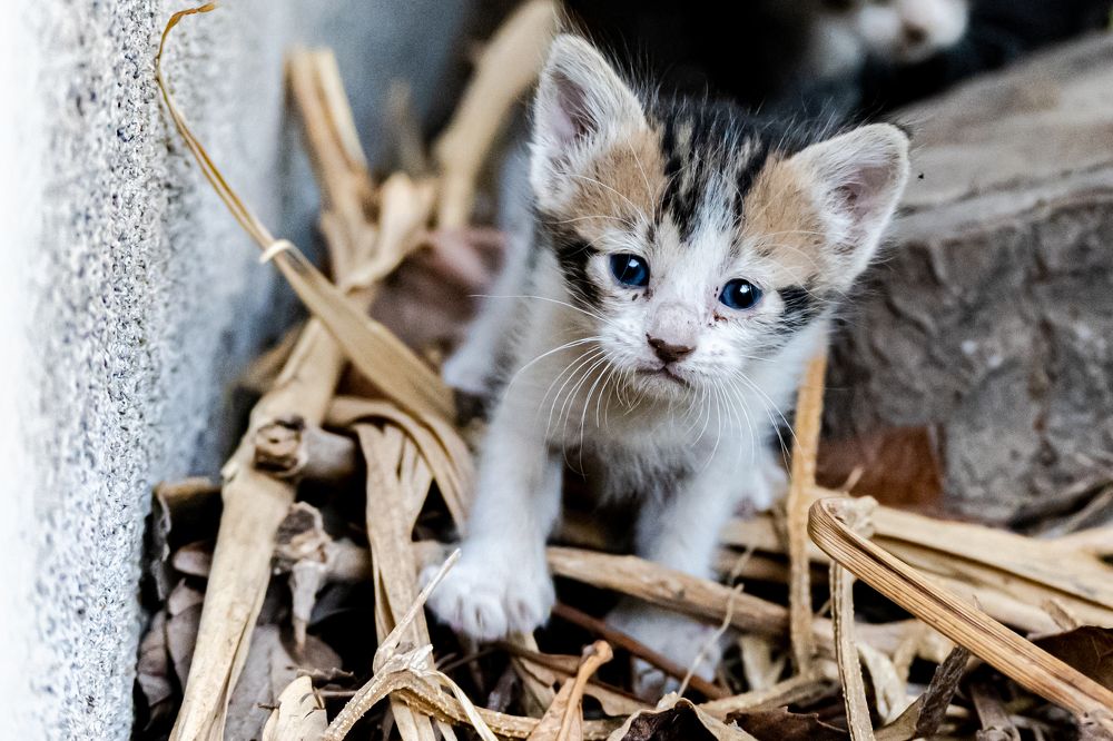 Photograph by octavio martinez