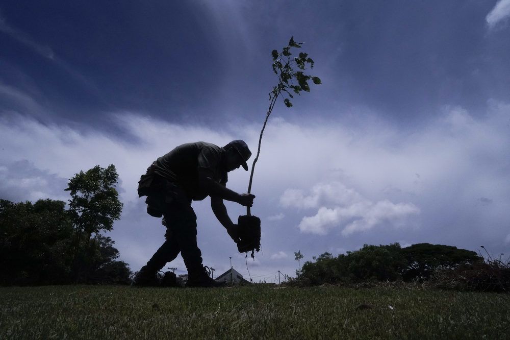 Photograph by Newton Santos