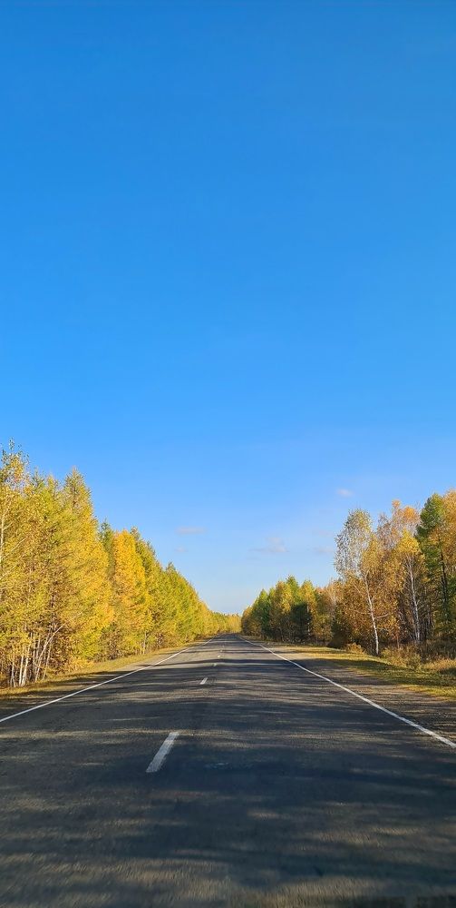 Дорога в осень