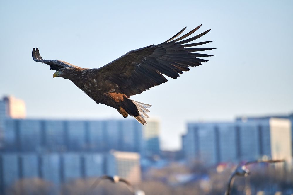 Photograph by Александр Хижняк