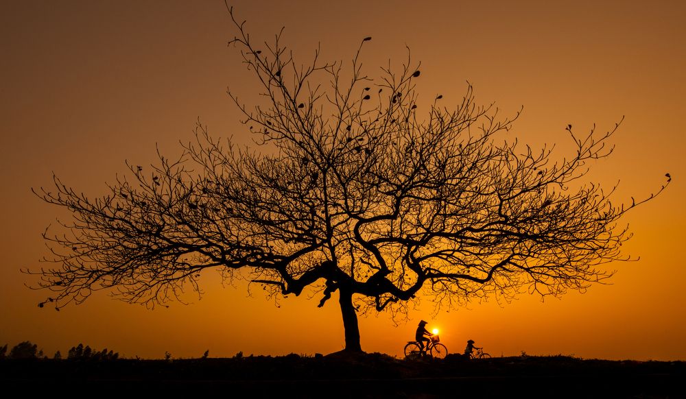 Photograph by Dương Nguyễn