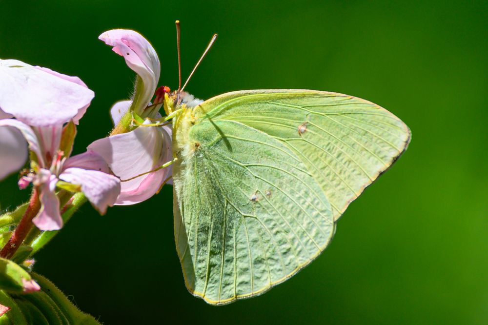 Photograph by octavio martinez