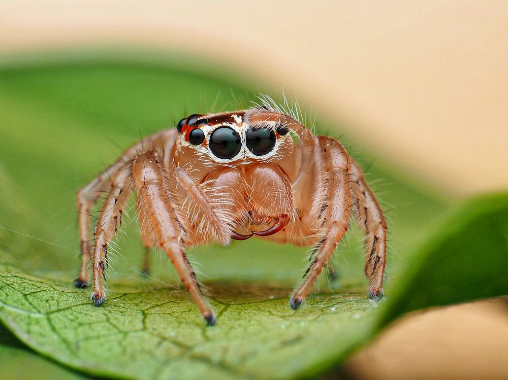 Photograph by Bario hadiprayogo