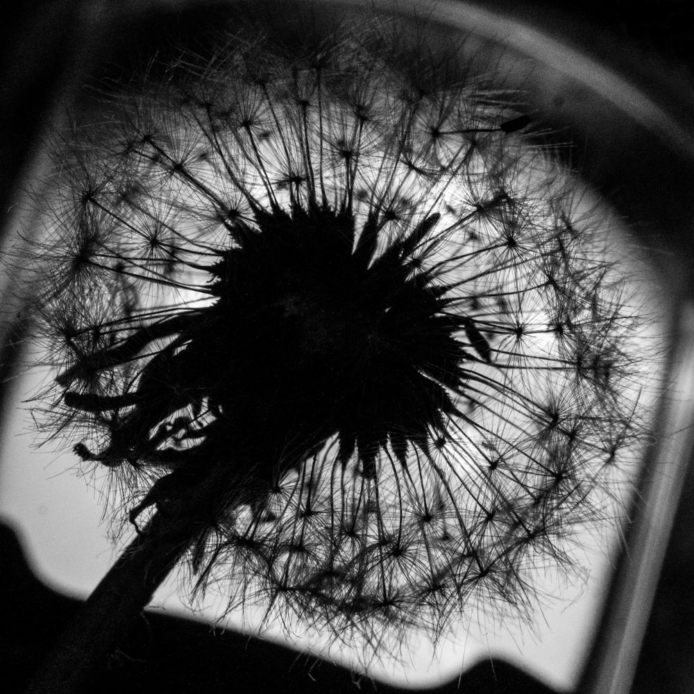 Photograph by Диана Кошелева