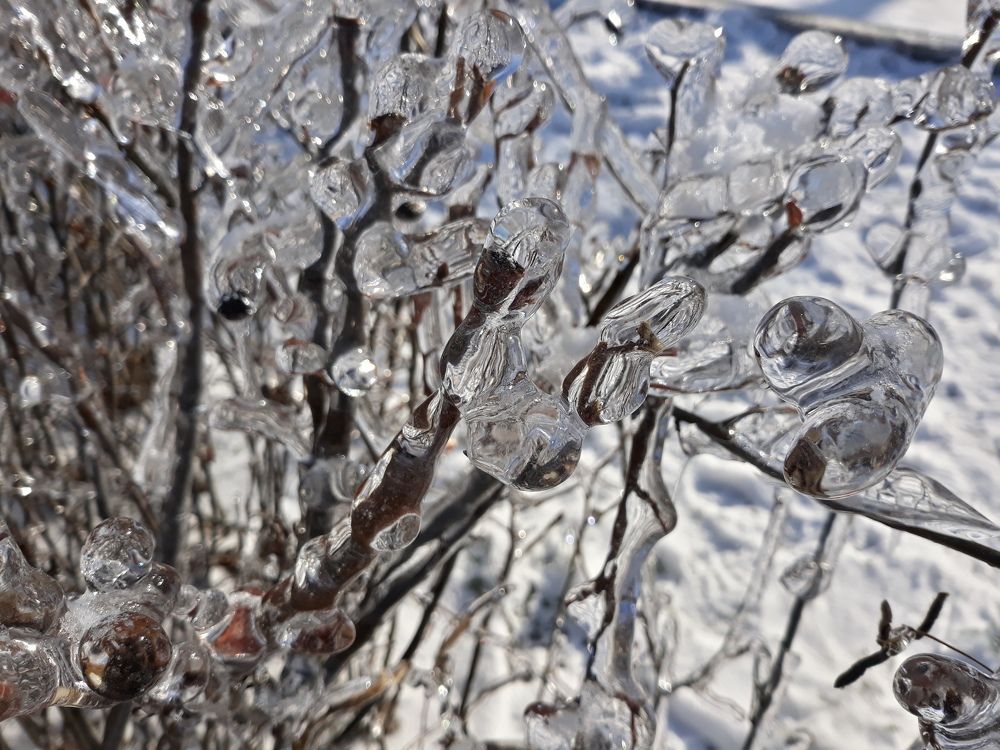 Photograph by Андрей Шахно