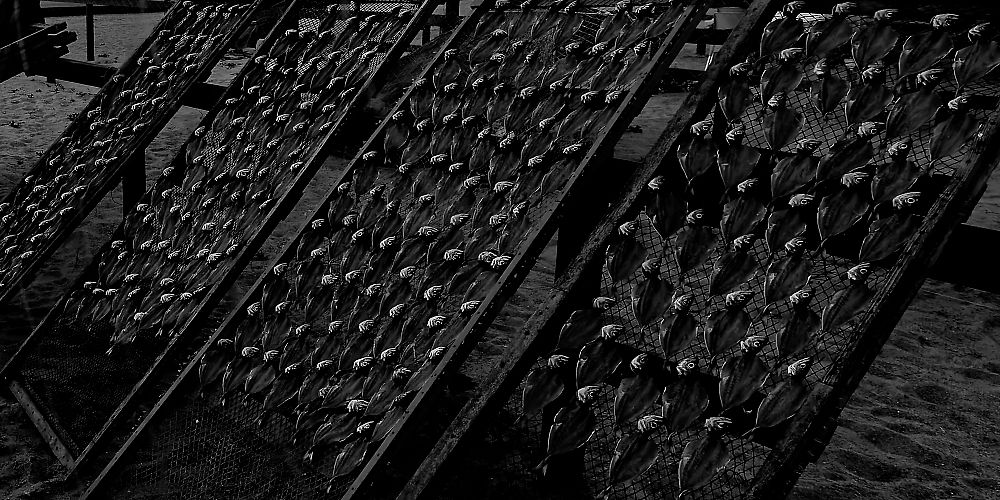 Photograph by Alain NEGRONI