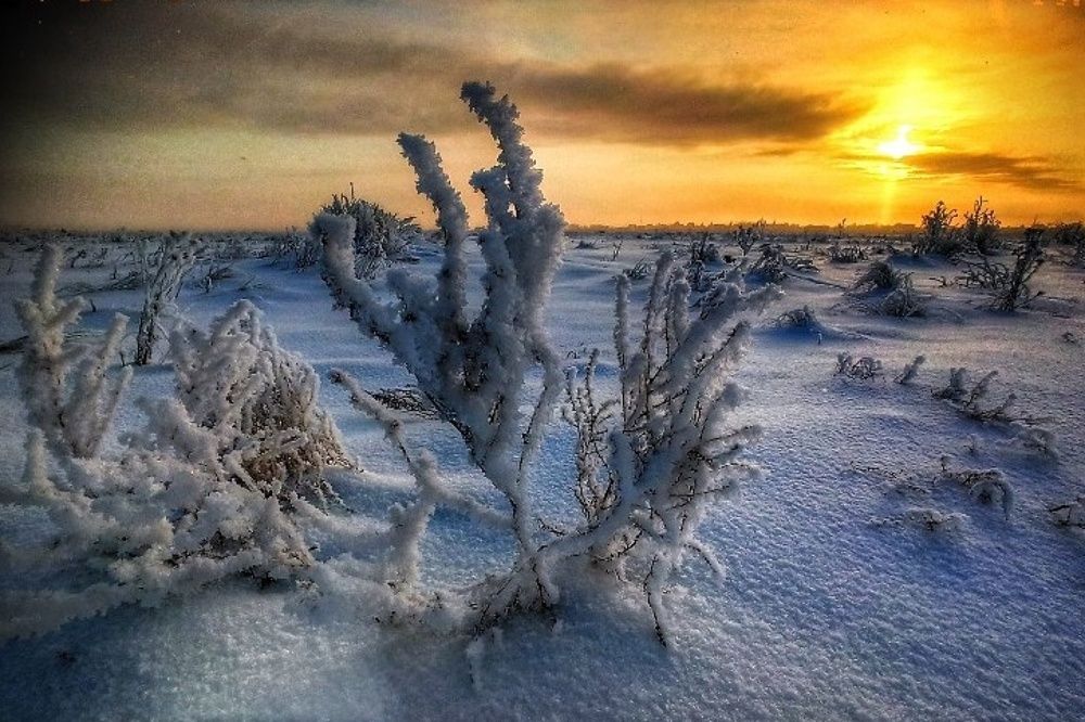 Photograph by Александр Алпаткин