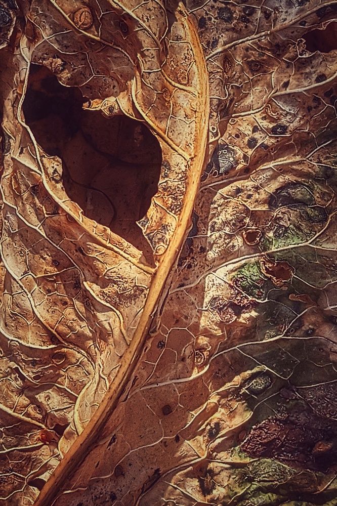 Photograph by Александр Алпаткин