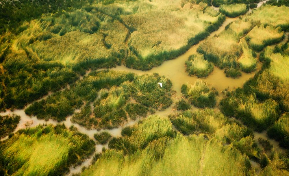 Photograph by Tuấn Nguyễn Tấn