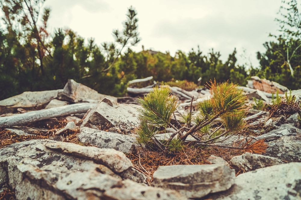 Photograph by Виктор Сёмушкин