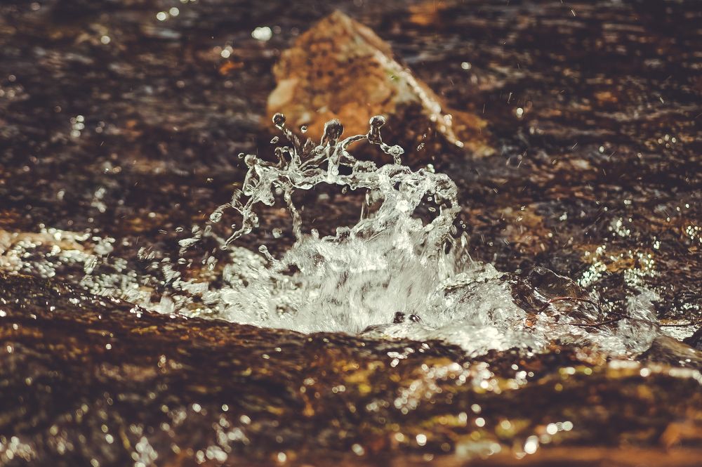 Photograph by Виктор Сёмушкин