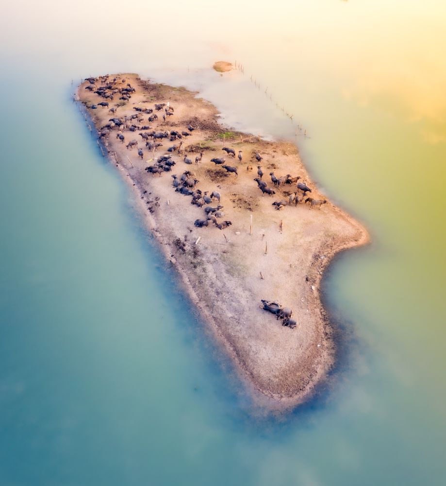 Photograph by Tuấn Nguyễn Tấn