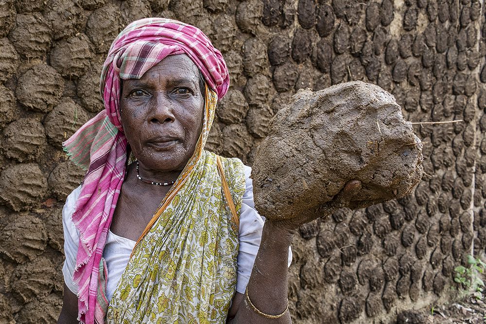 Lady with dung
