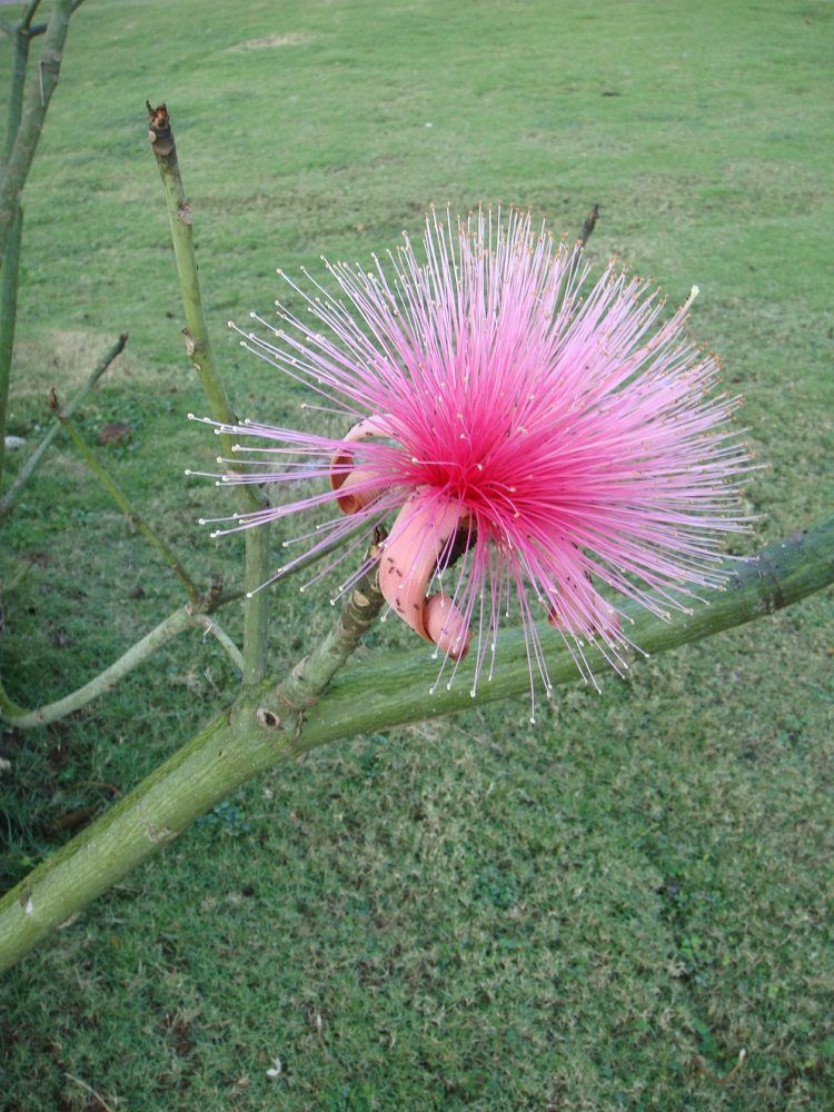 Photograph by Игорь Нуриев