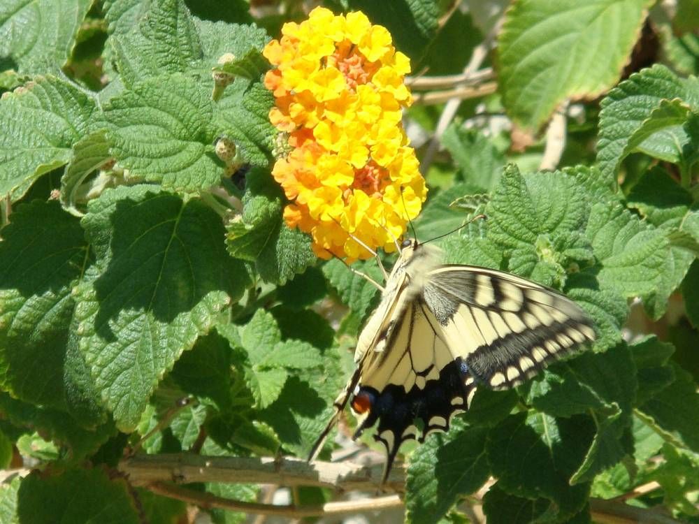 Photograph by Игорь Нуриев