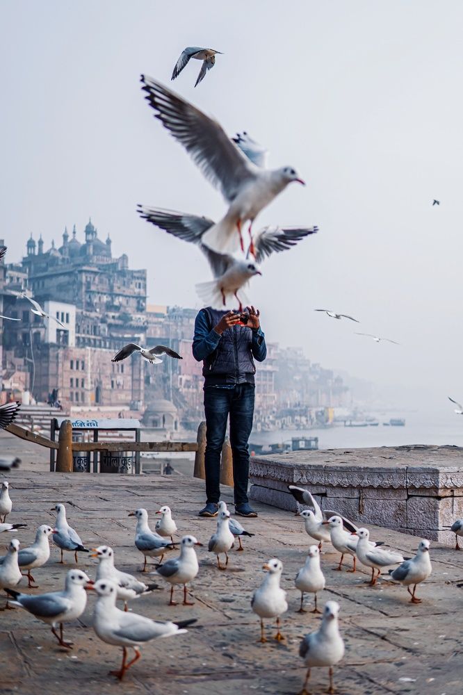 Photograph by Abhinav Chitransh