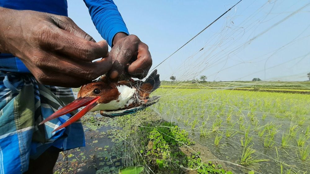 Photograph by Ramesh karmakar