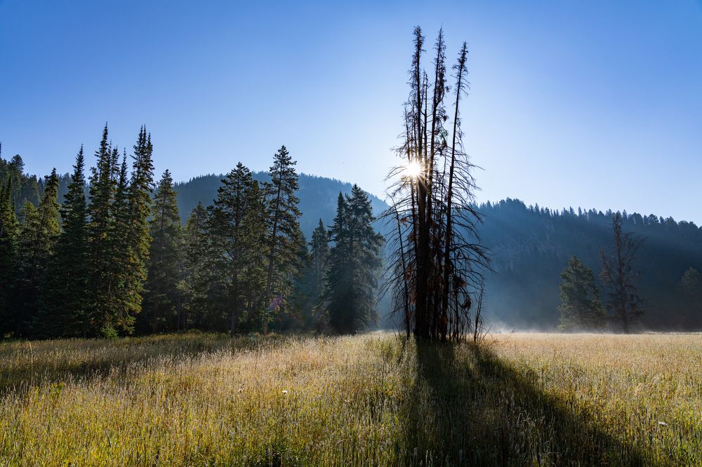 Photograph by Daniel Loudenback