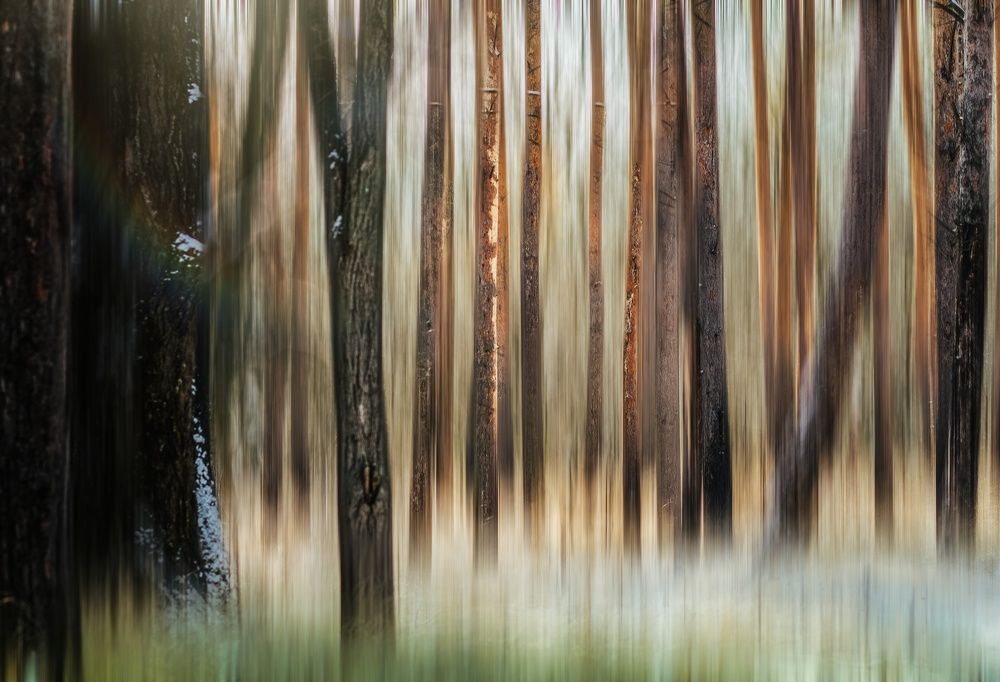 Photograph by Максим Митченко