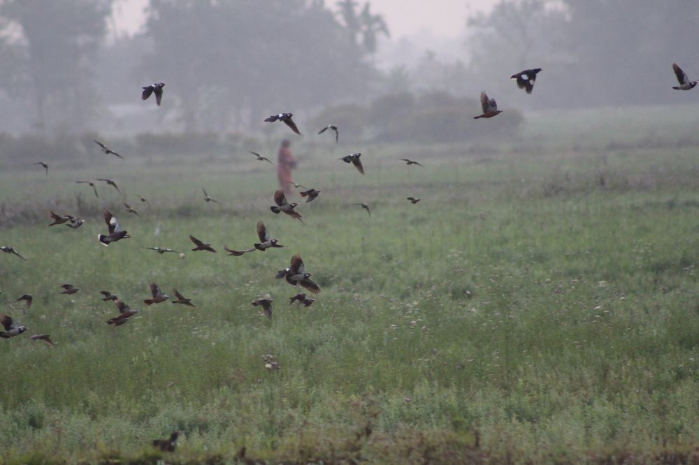 Photograph by Nischal Pokhrel