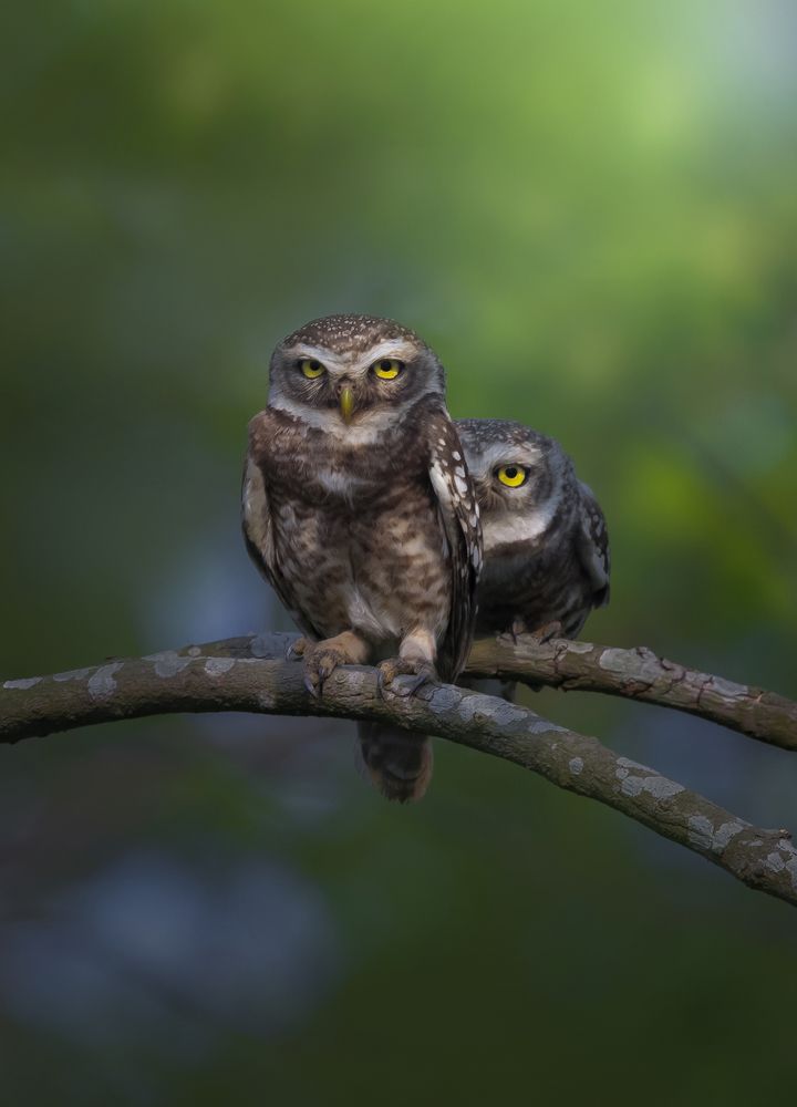 Photograph by Ramesh karmakar