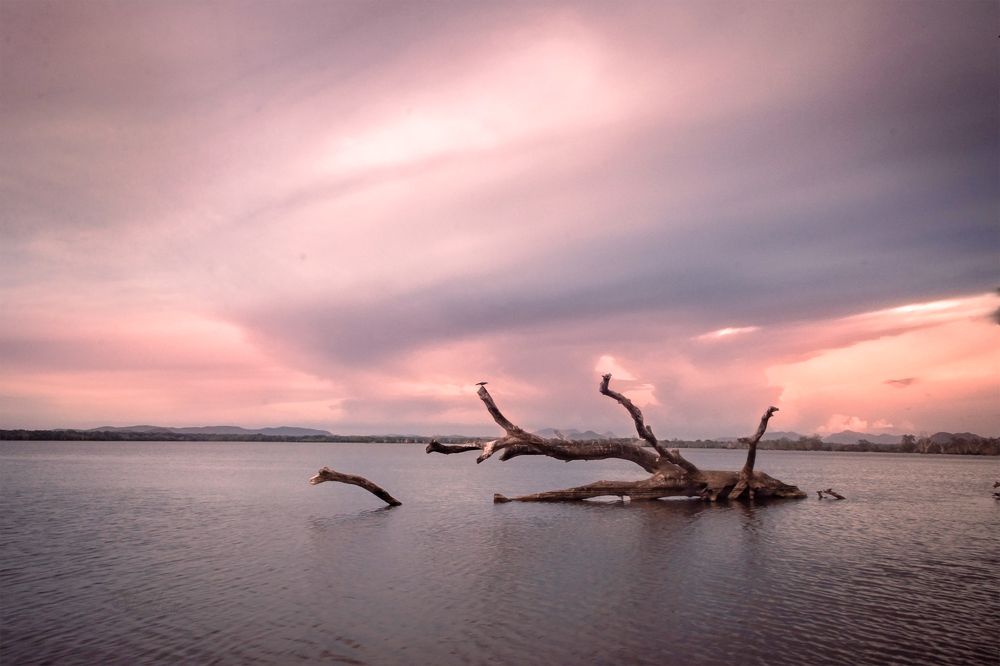 Photograph by Amith Anuradha