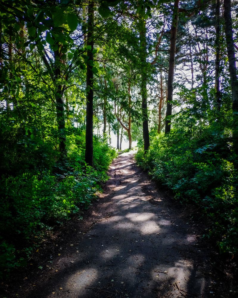 Фотография автора Александр Османов