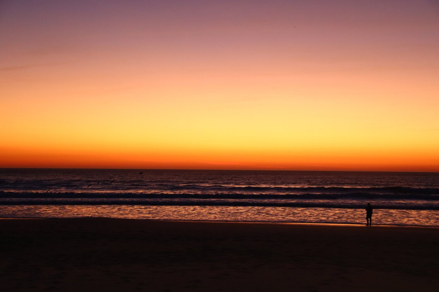 Hot Sunrise