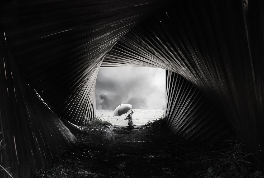 Photograph by KAWAKAMI KAZUTOSHI