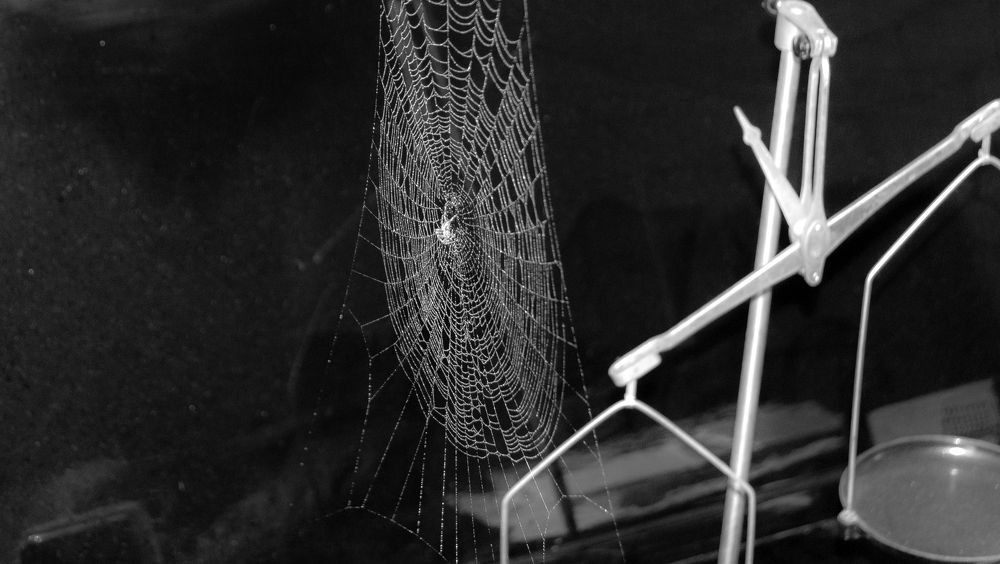 Микро в макро / Мicro to macro