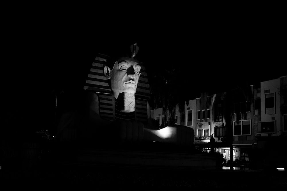 Photograph by Benny Momor