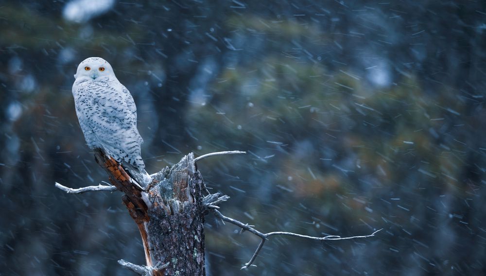 Photograph by  HITTHEROAD