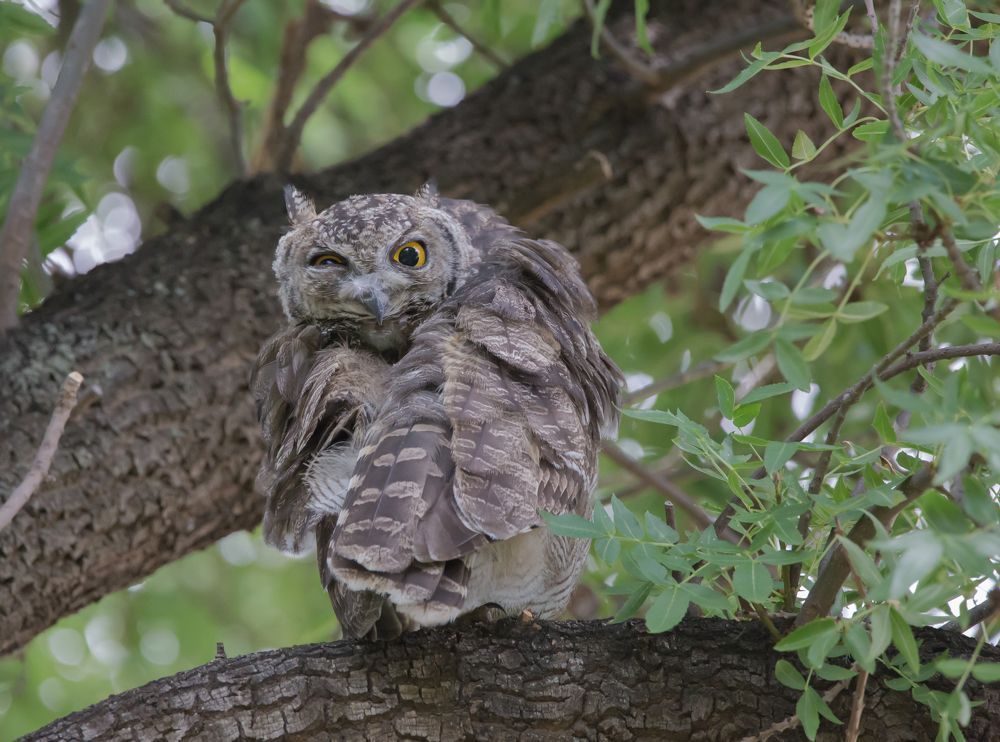 Photograph by Владимир Цветов