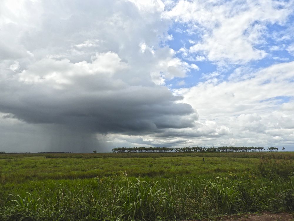 Photograph by Igor Patzi