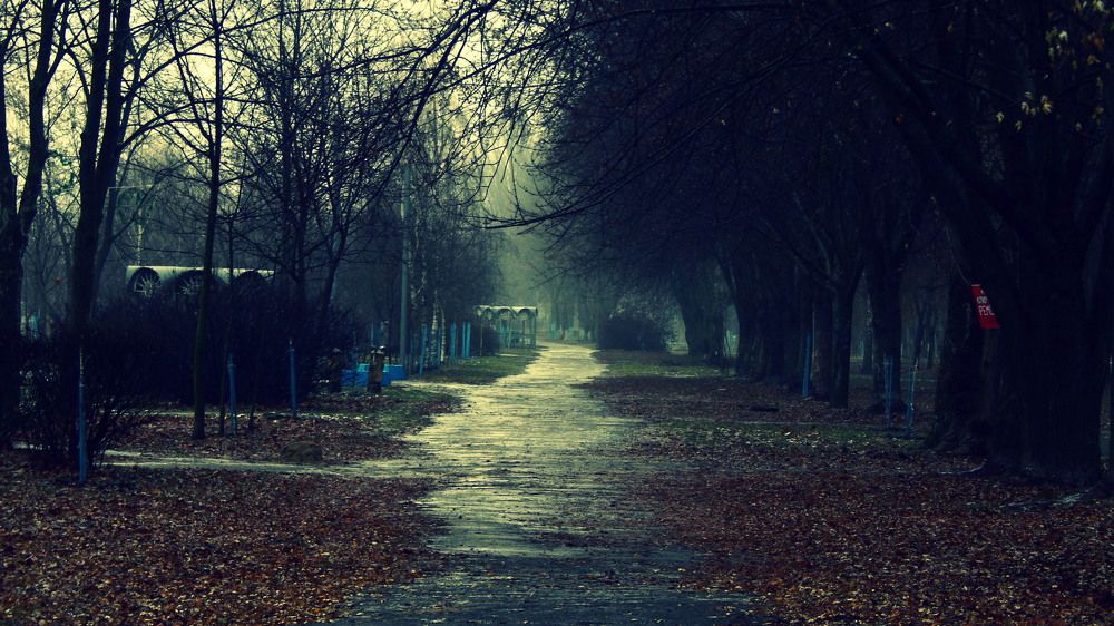 Photograph by Сашко Губаревич