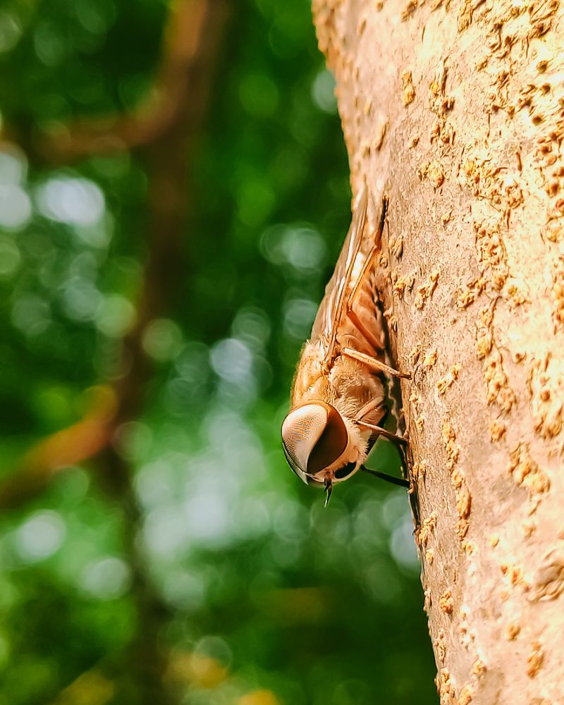 Photograph by Sai Kandula
