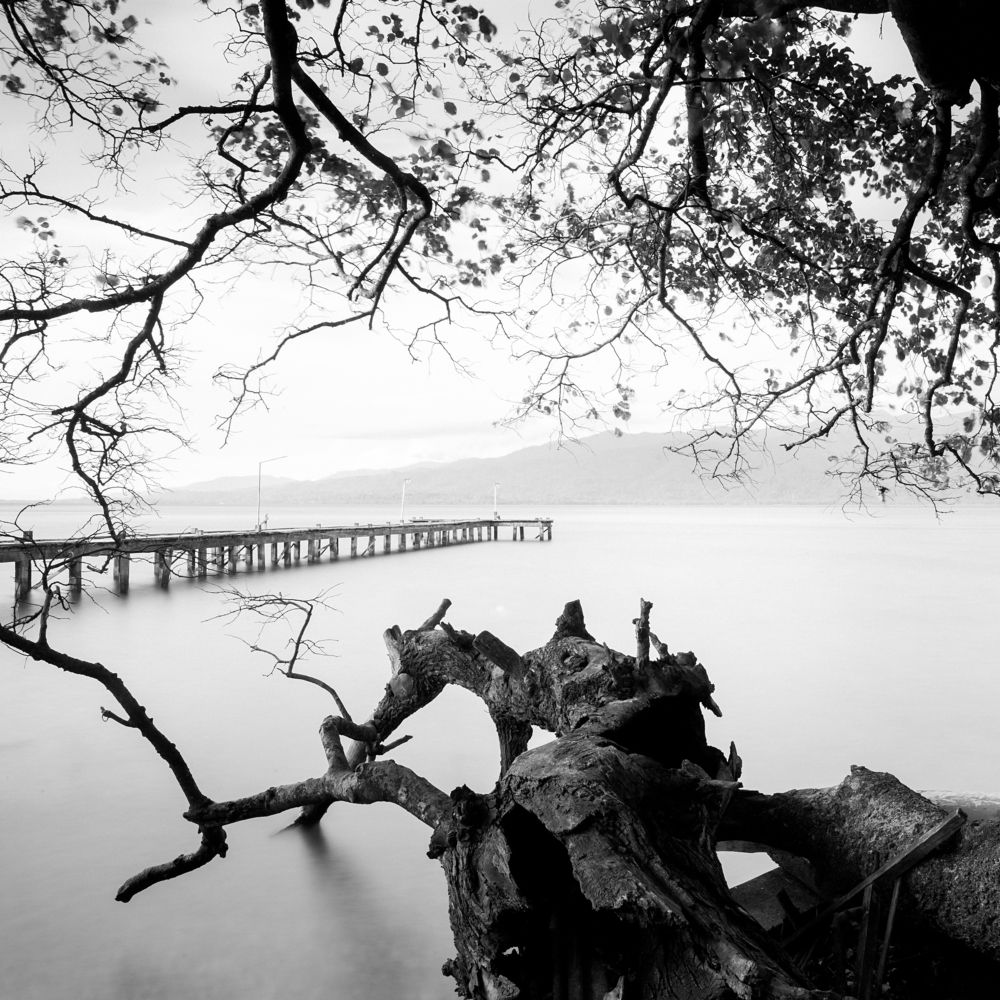 Photograph by Dody Alaydrus