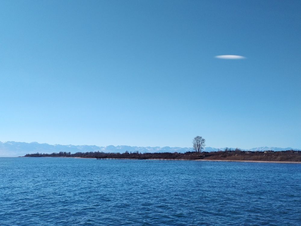 Photograph by Наиля Омарова