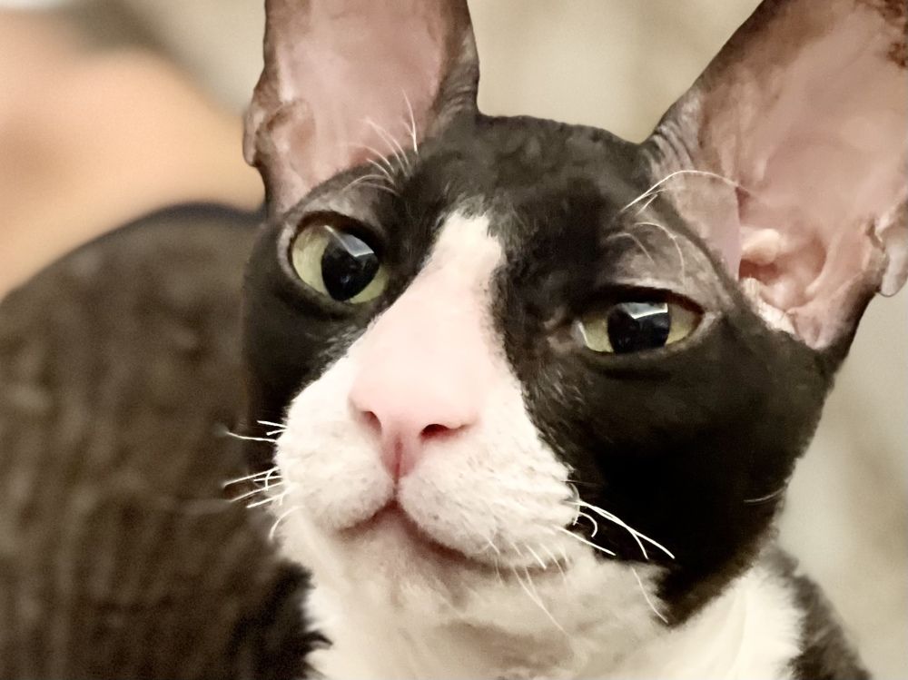 Photograph by Роман